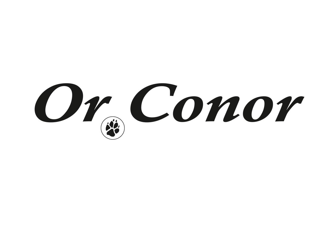 Esileht – OrConor